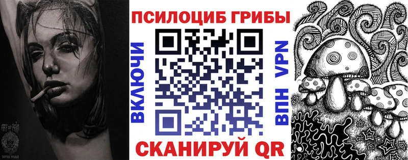купить Тбилисская Псилоцибиновые грибы Magic Shrooms