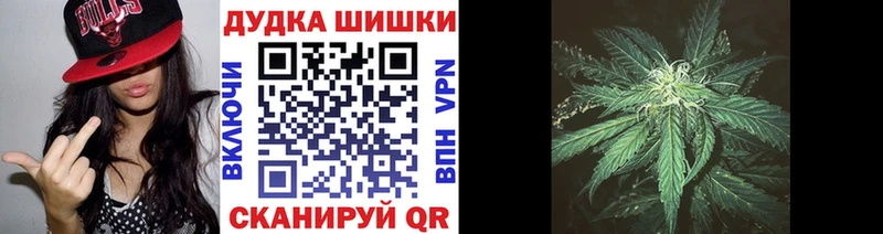 Шишки марихуана сатива Тбилисская